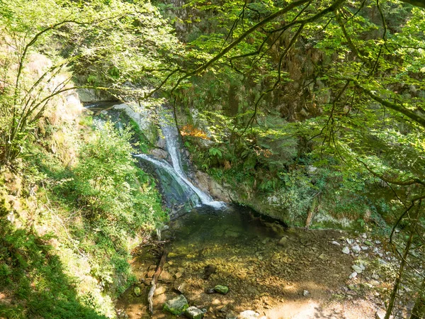 Het Zwarte Woud Duitsland — Stockfoto