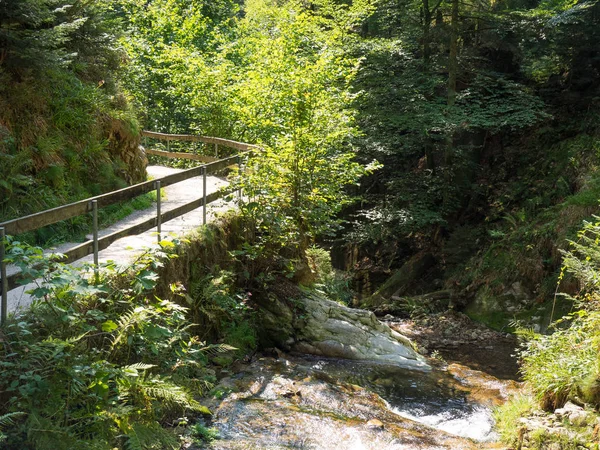 Bosque Negro Alemania — Foto de Stock