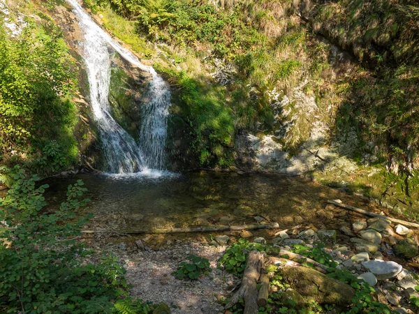 Het Zwarte Woud Duitsland — Stockfoto