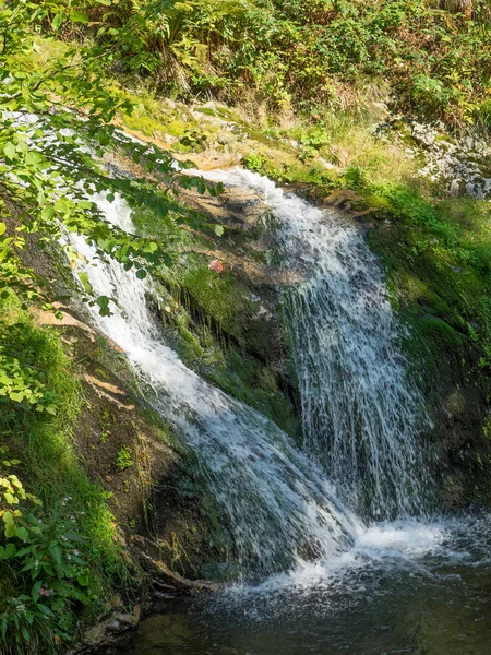 Bosque Negro Alemania — Foto de Stock