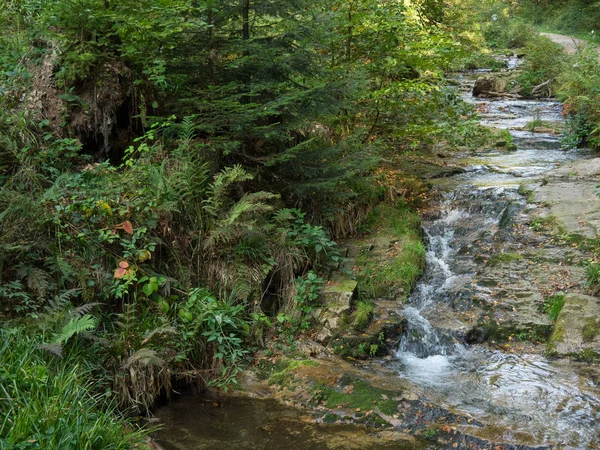 Het Zwarte Woud Duitsland — Stockfoto