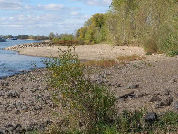 Rivier Rijn Duitsland — Stockfoto