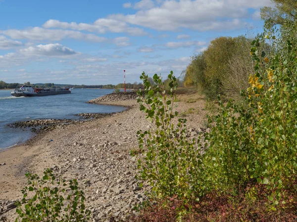 Rivier Rijn Duitsland — Stockfoto