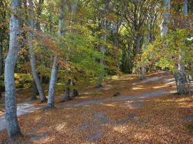 İsviçre Alpleri'nde hiking