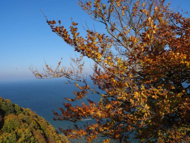 Alman Baltık Denizi'ndeki Rügen Adası