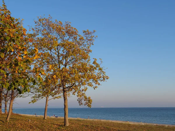 Острів Русеген Німецькому Балтійському Морі — стокове фото