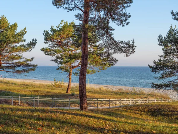 Isola Ruegen Nel Mar Baltico Tedesco — Foto Stock