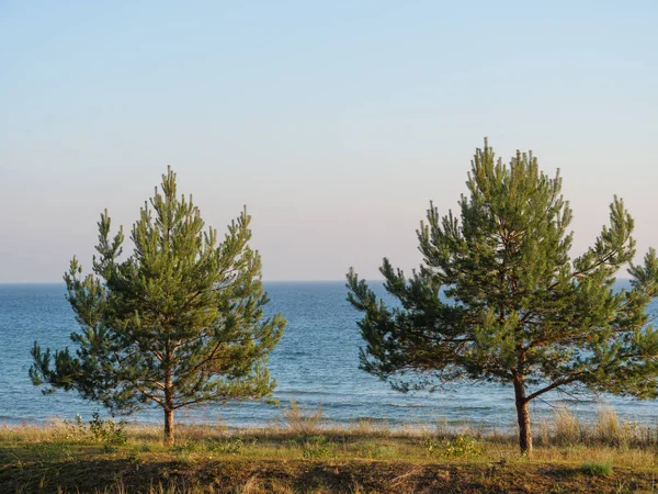 Острів Русеген Німецькому Балтійському Морі — стокове фото