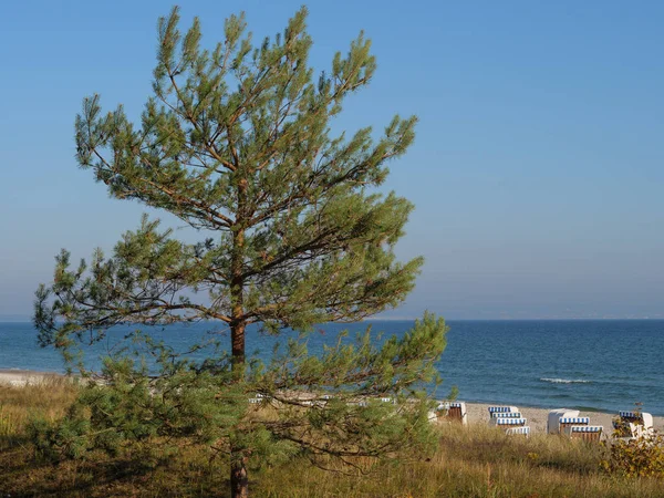 Острів Русеген Німецькому Балтійському Морі — стокове фото