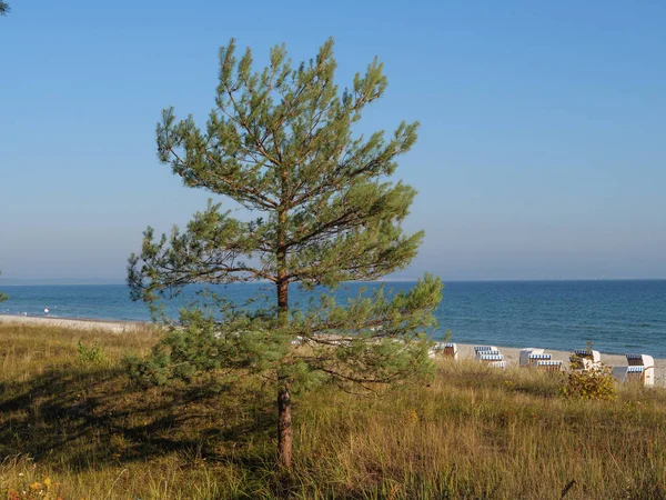 Острів Русеген Німецькому Балтійському Морі — стокове фото