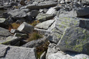 İsviçre Alplerinde yürüyüş