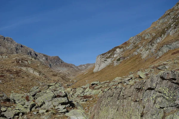 Wandern Den Schweizer Alpen — Stockfoto