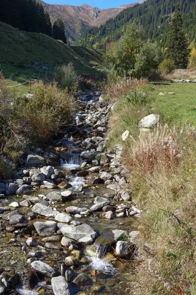 Wandelen Zwitserse Alpen — Stockfoto