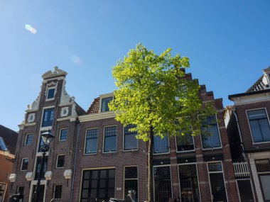 Şehir alkmaar Hollanda