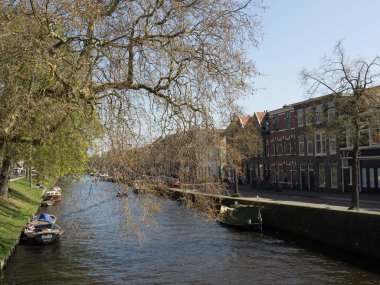 güzel şehir haarlem Hollanda