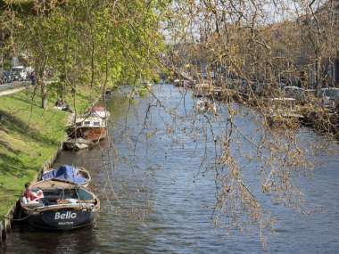 güzel şehir haarlem Hollanda