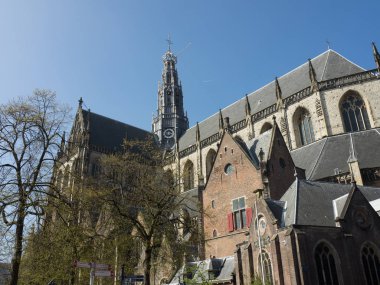 güzel şehir haarlem Hollanda