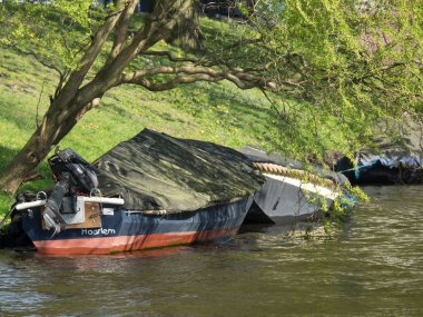 güzel şehir haarlem Hollanda