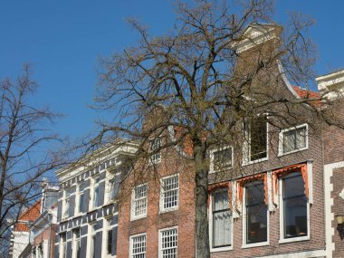 güzel şehir haarlem Hollanda