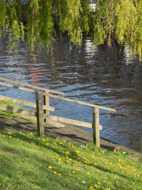 güzel şehir haarlem Hollanda