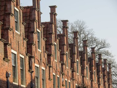 güzel şehir haarlem Hollanda