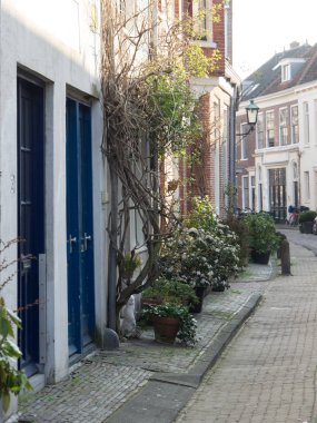 güzel şehir haarlem Hollanda