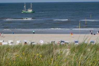 Alman spiekeroog Adası