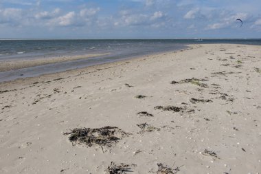 Alman spiekeroog Adası