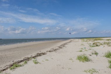 Alman spiekeroog Adası