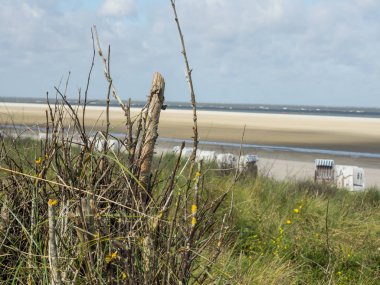 Alman spiekeroog Adası