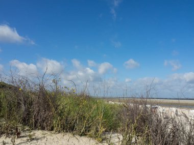 Alman spiekeroog Adası