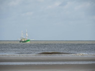Alman spiekeroog Adası