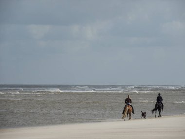 Alman spiekeroog Adası