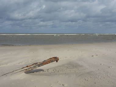 Alman spiekeroog Adası
