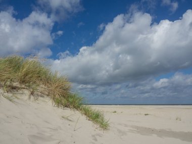 Alman spiekeroog Adası