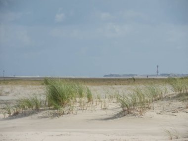 Alman spiekeroog Adası