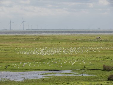 Kuzey denizindeki Alman Spiekeroog adası.