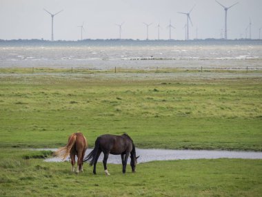 Kuzey denizindeki Alman Spiekeroog adası.