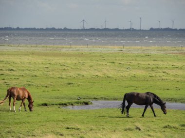 Kuzey denizindeki Alman Spiekeroog adası.