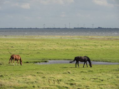 Kuzey denizindeki Alman Spiekeroog adası.