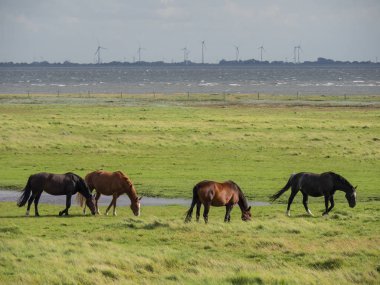 Kuzey denizindeki Alman Spiekeroog adası.