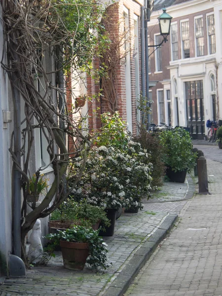 Bela Cidade Haarlem Nas Terras Baixas — Fotografia de Stock