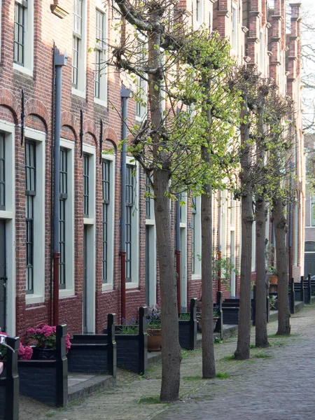 Den Vackra Staden Haarlem Nederländerna — Stockfoto