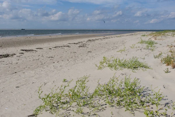 Het Duitse Eiland Van Spiekeroog — Stockfoto