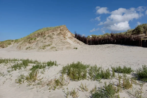 Tysken Spiekeroog — Stockfoto