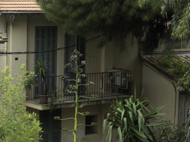 Fransa cannes şehir