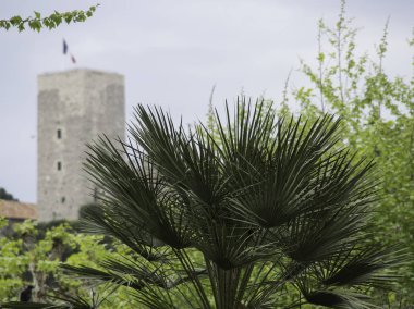 Fransa cannes şehir
