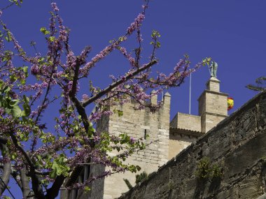 Palma de Mallorca, İspanya