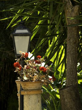 Palma de Mallorca, İspanya