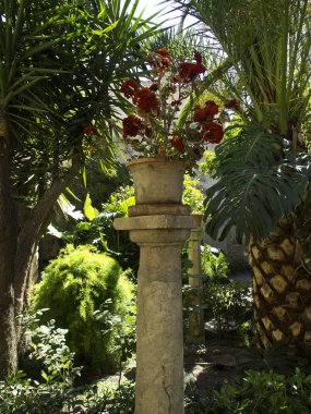 Palma de Mallorca, İspanya